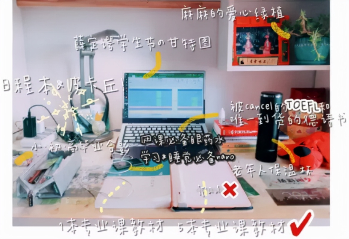 某211高校食堂一幕引热议：那些好学校的读书氛围有多震撼？