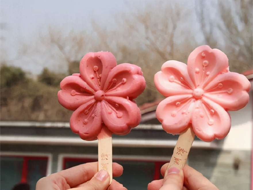 雪糕中的“5大贵族”，一只卖十多元，网友：不如换一箱小布丁