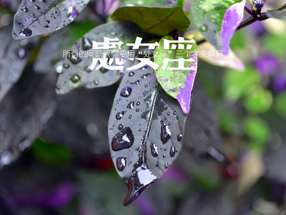 既会玩阴谋，又会玩阳谋的星座，隐藏得很深，是个“两面派”