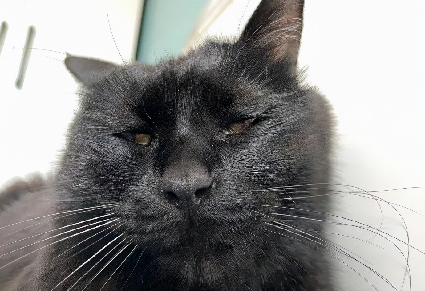 “学校开了门课叫制服诱惑！结果”网友：精准捕获最需要的学生