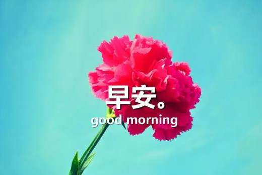 早安心语：人生无完美，曲折也风景，只有随遇而安，才能随心所欲