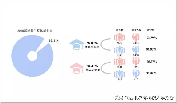 25个专业就业率100%，世界500强都来