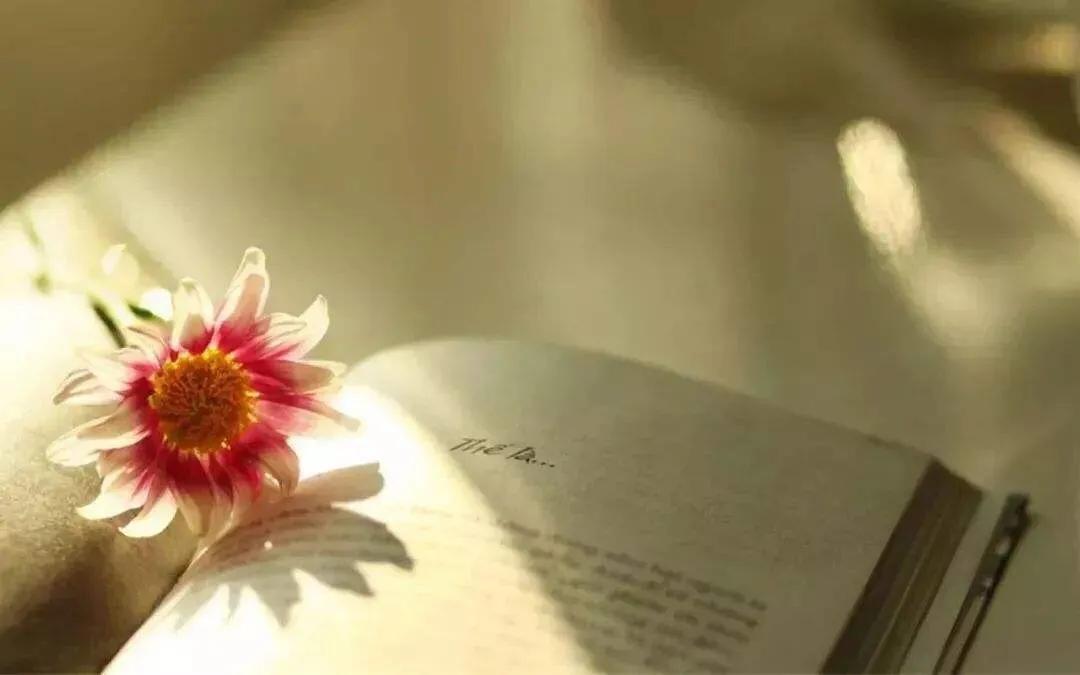 “浙大博士侯京京跳江、北大吴谢宇弑母案”给父母们的养育告诫