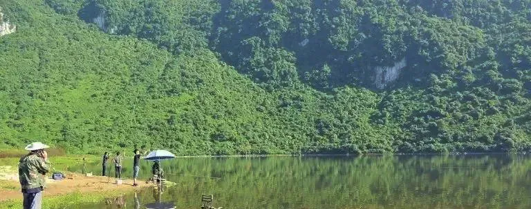 不收门票的世界级风景！赏万亩夏花、观云海日出…成都2天耍来回
