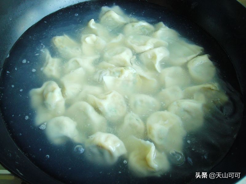 鱼肉饺子的做法,鱼肉饺子的做法和配方
