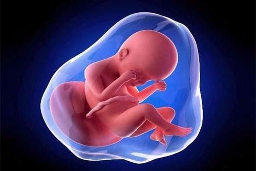 孕妈一小时数出32次胎动，看到其“计算方式”，医生表示很无奈