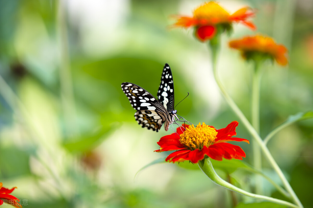 俗语“好汉不吃眼前亏”的下一句更精彩，更发人深省