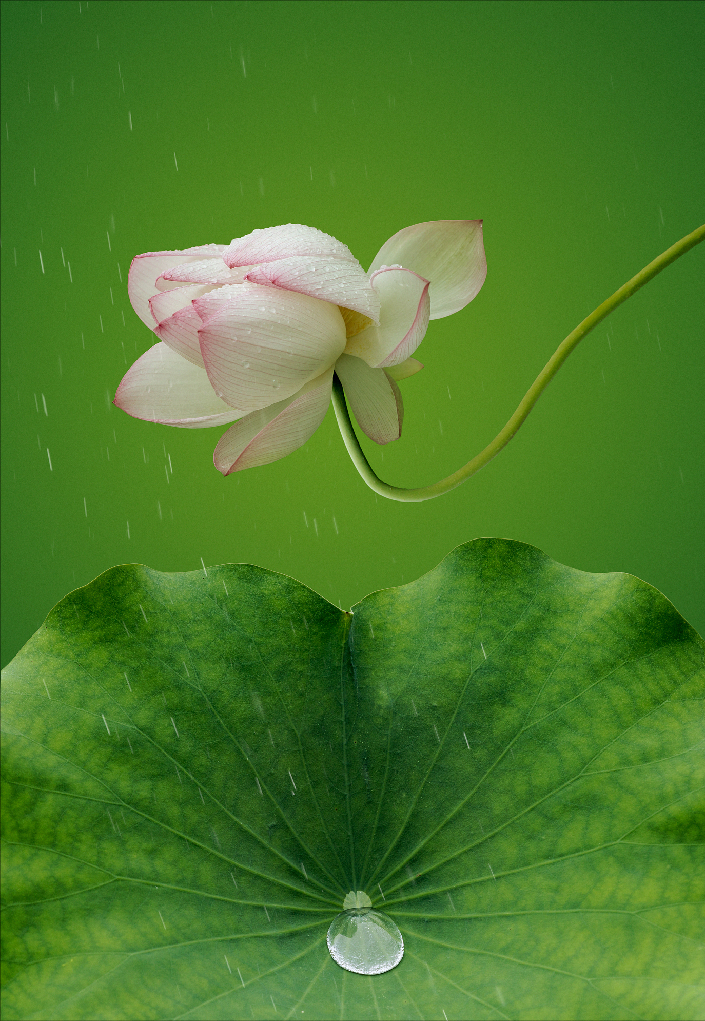 同题诗｜雨/绝句集萃｜幽香拂面静山空，碧水波湾醉眼瞳