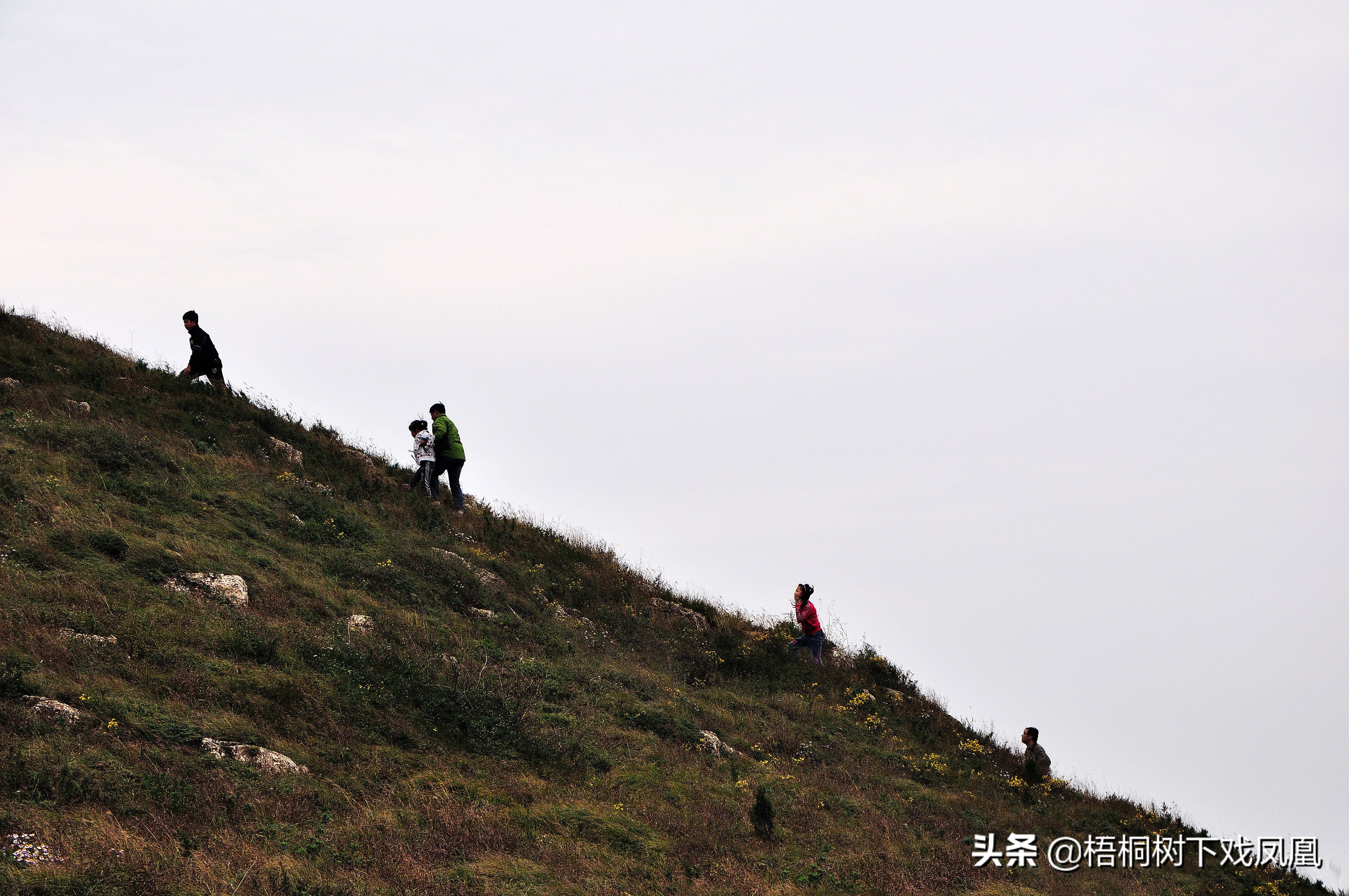 皇帝为什么要生前造好自己的陵墓？李世民说了实话，理由有点意外