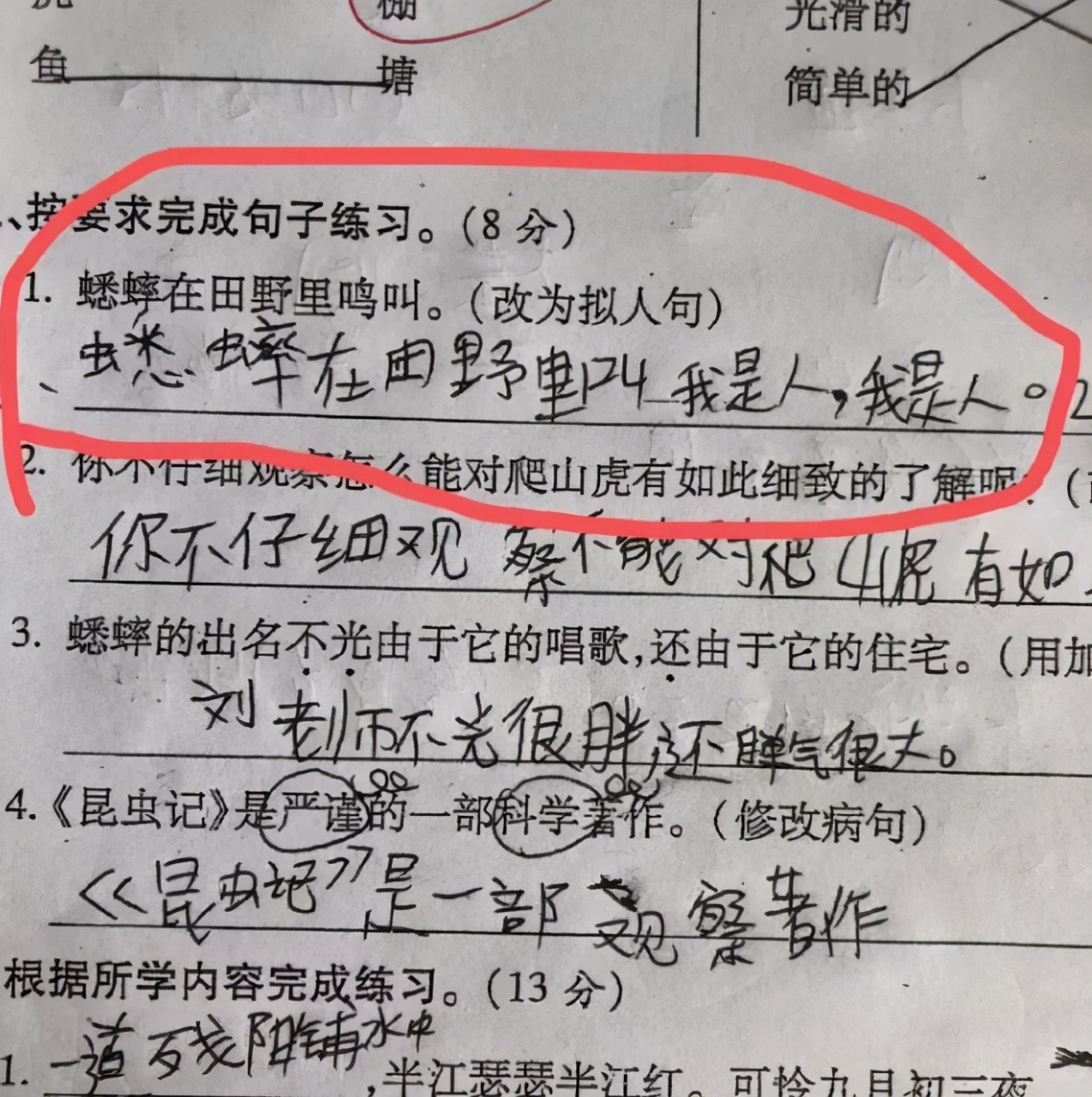 小学生考试“拟人句”走红，老师很无奈，网友评论：这很“拟人”