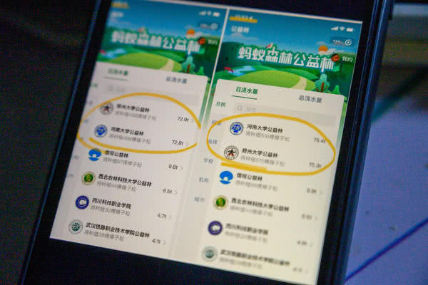 河大与郑大在支付宝上“掐”起来啦，网友：被1吨西兰花毁掉的塑料爱情