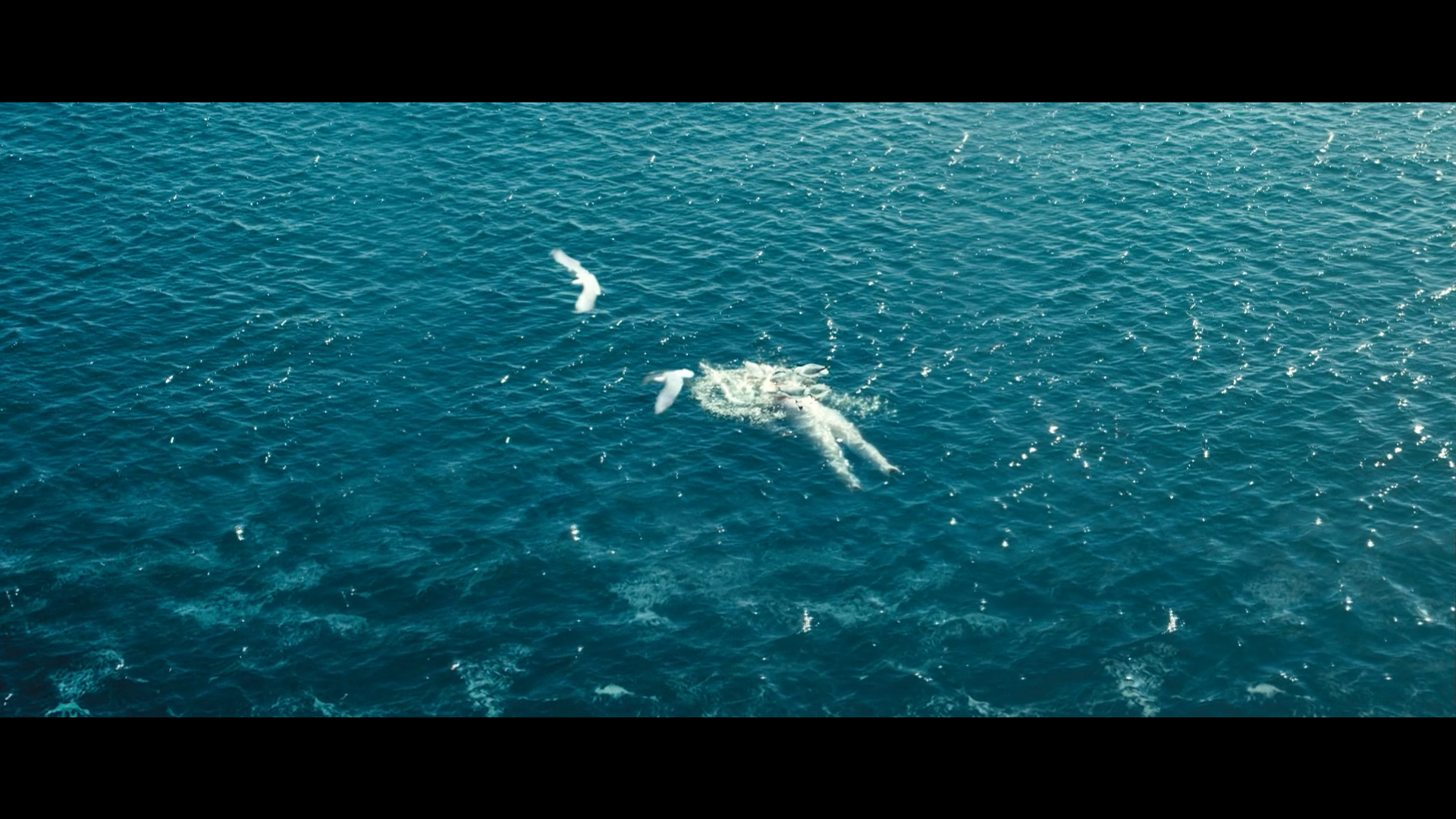 《恐怖游轮》:深度解析这部,披着恐怖外衣的经典悬疑电影