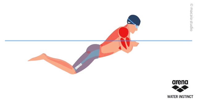 不克服这三个腿姿错误，蛙泳怎么会游得快？