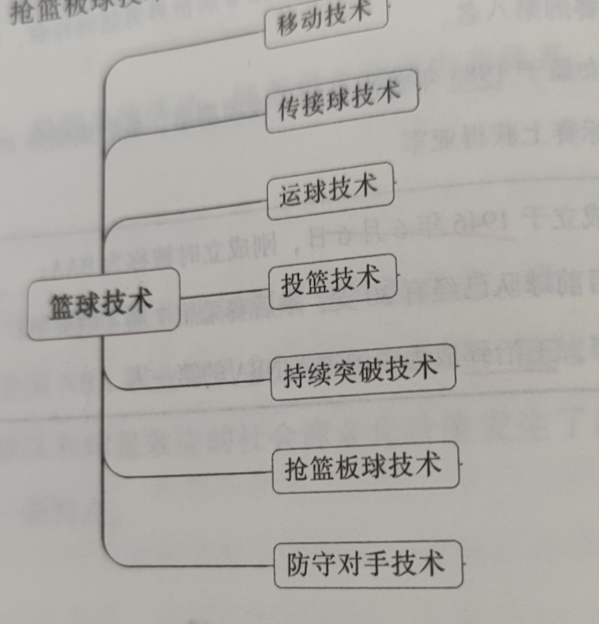 篮球比赛分为多少步(硬核科普~  篮球运动的主要技术、战术)