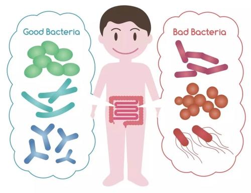 益生菌吃了没用？那是因为你没吃对！婴幼儿不同菌株作用各不同