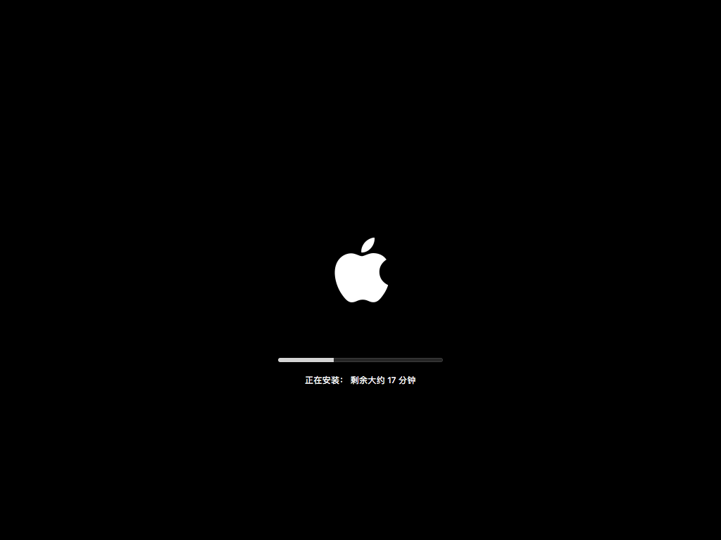 黑苹果安装教程（全网最详细黑苹果教程，小白一看就懂） 19