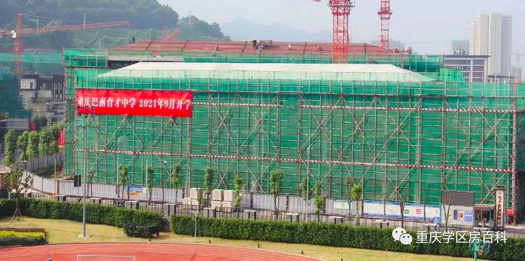 关于育才中学的这些分校