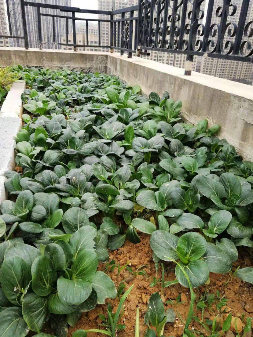 春季是一年伊始，抓住养生好时节，身体更棒