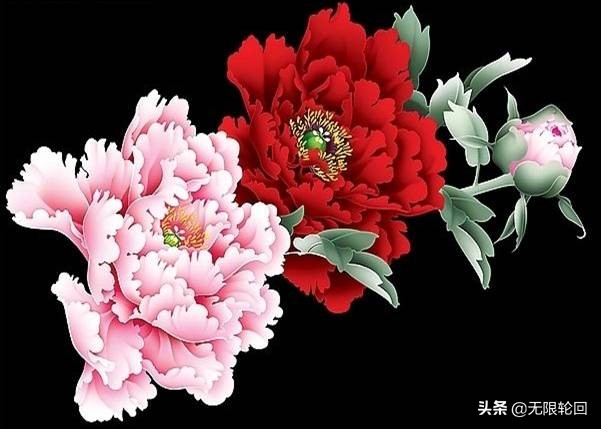 唯有牡丹真国色：10首最经典的牡丹花诗词