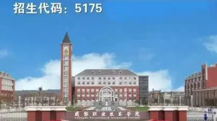 大成都地区的优质高职院校推荐,2020年单招不能错过!