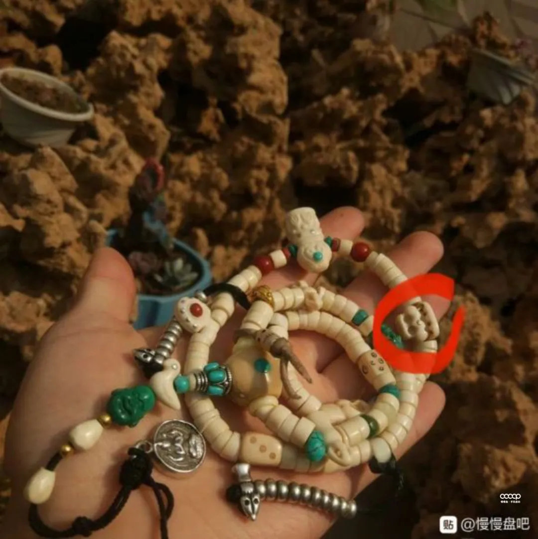 玩串儿1年,就很出彩!谁说小白,就一定会吃药