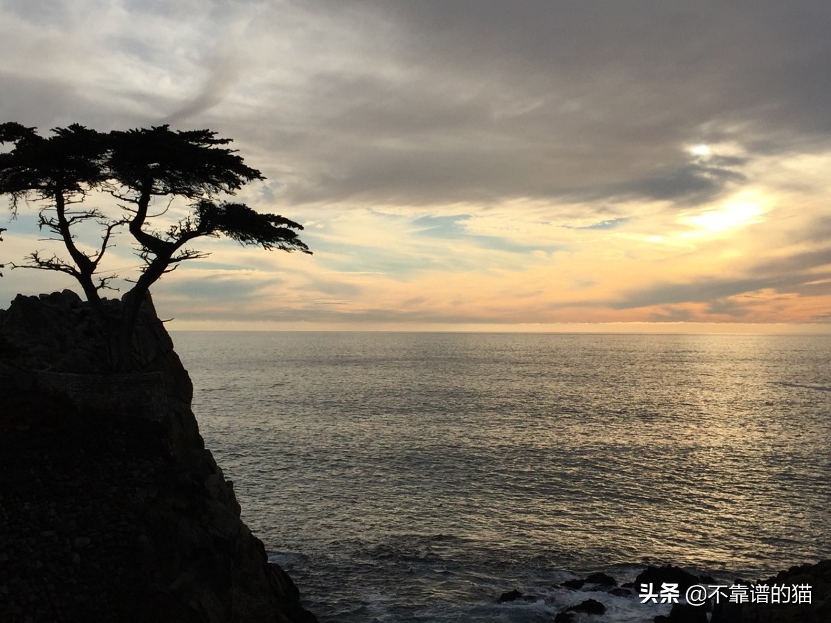 大学物理高斯定理公式（机器学习总结）