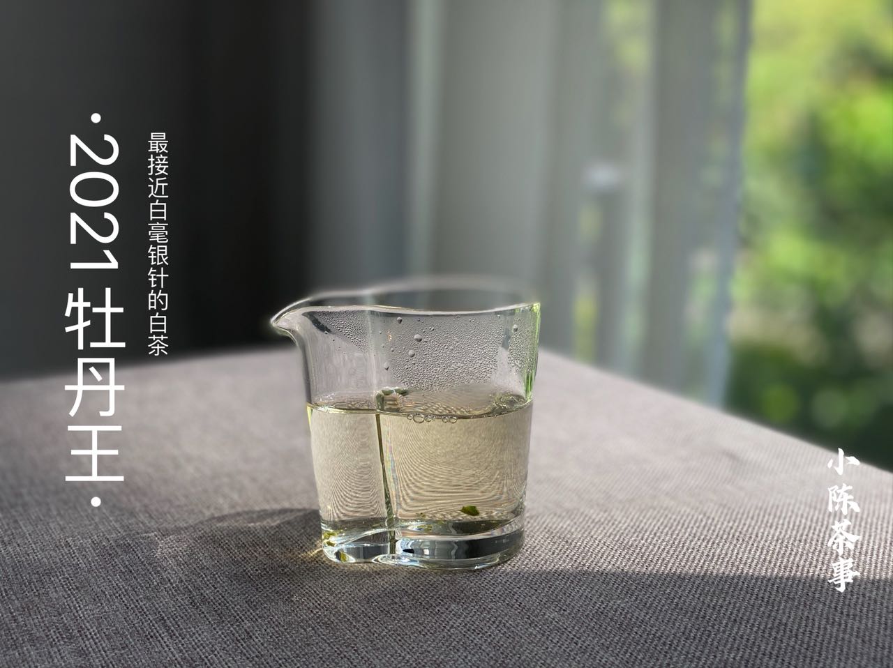 新手买茶具不要盲目跟风，买这5样就够了，帮你省下近千元