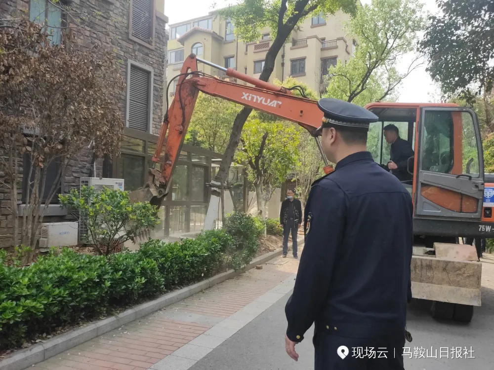 提醒！侵占公共绿地，违反国务院相关条例！