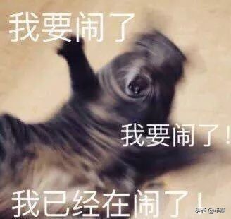 圣诞快乐叮叮当（圣诞节叮当）