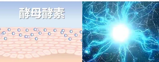 雅姿活肤肌底液三重功效解读
