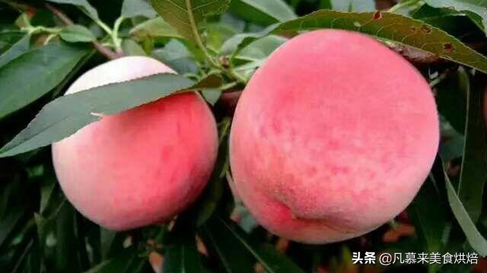 适合送礼的唐山特产（河北唐山有什么特产送人）