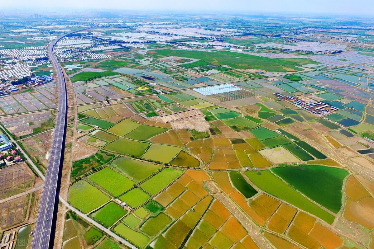 我国四大灌溉农业区图片