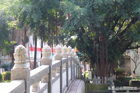 灵溪校园①</p><p>　　嘿！好久不见，甚是想念