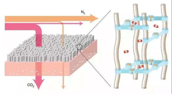 建校124年！本期推送，就是过去1年天津大学的