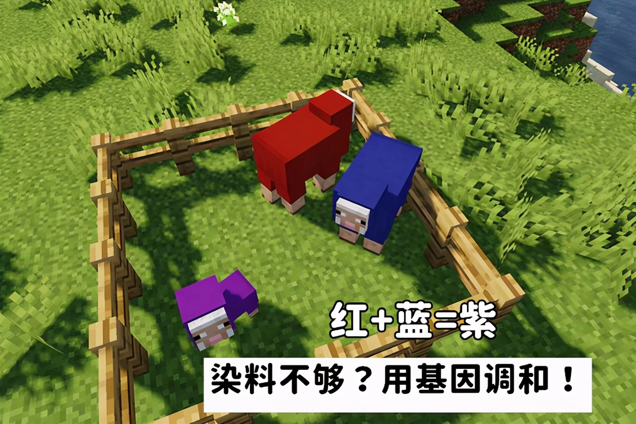 我的世界：遇到下界金矿，用时运还是精准采集？细节帝给你答案