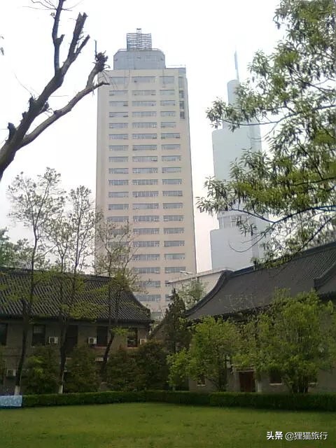 百年名校南京大学一日游，八年前的老照片带你回忆南大