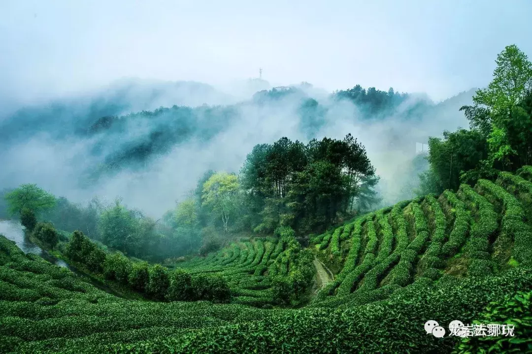 新罗区十大景点介绍,你知道几个?