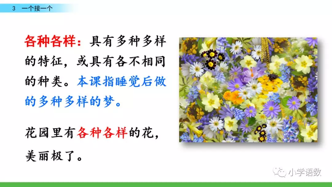 部编版一年级语文下2单元第3课《一个接一个》知识点及课堂测试题