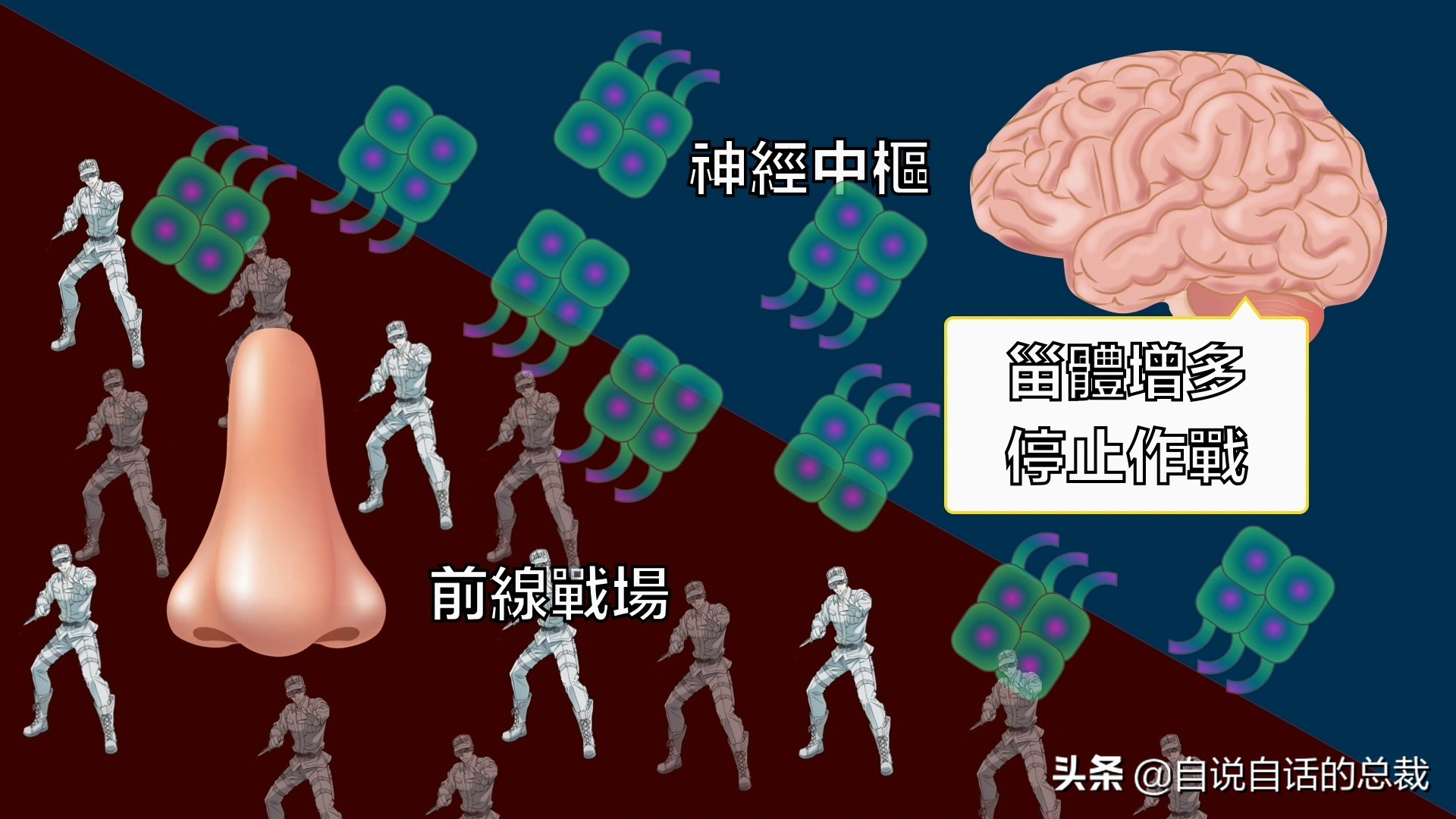 当你爆发过敏性鼻炎时，这就是你体内发生的故事