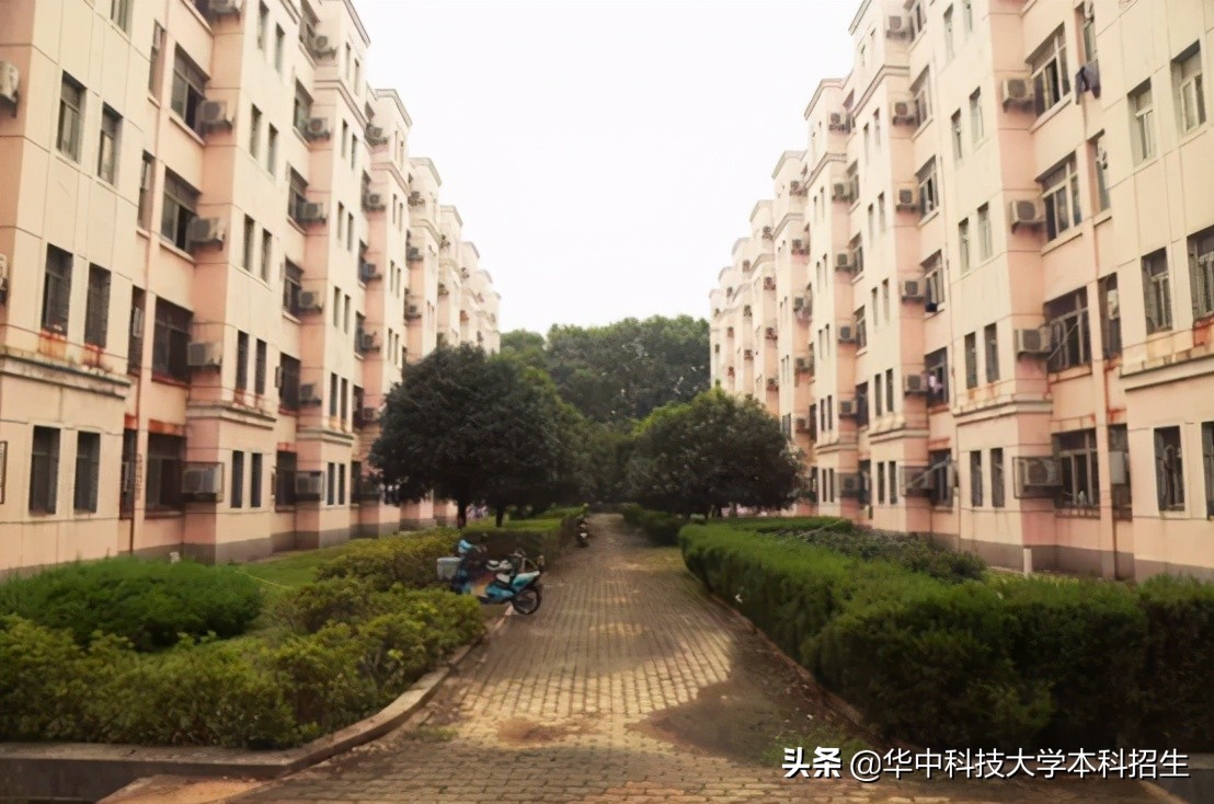 神仙配置！坐拥36个食堂和4个地铁站，湖北“最壕”大学来了！