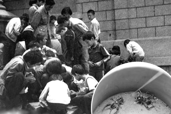 我奶常山赵子龙：“60岁花甲老人”凌晨3点拿5杀，游戏为何限不住