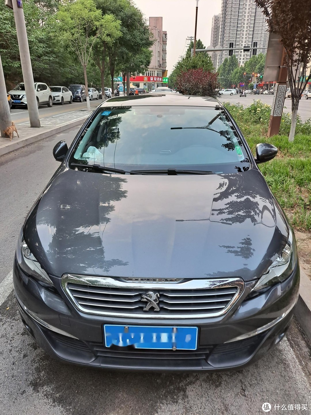 人在北京，车在上海，买一辆津牌法系车308S，真金白银的实践