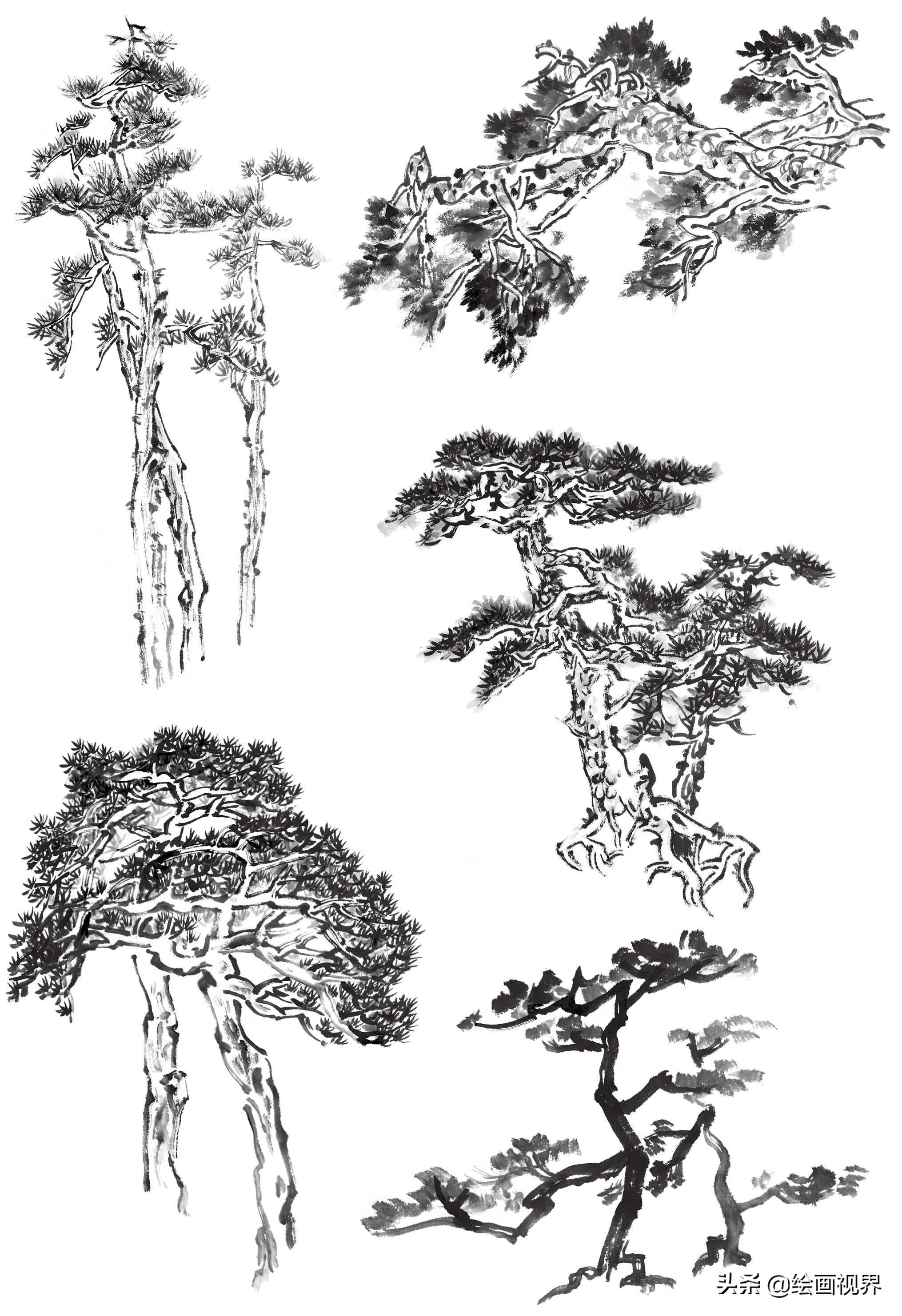 画国画树不会画？教你常见树的画法，简单易学，收藏起来临摹学习