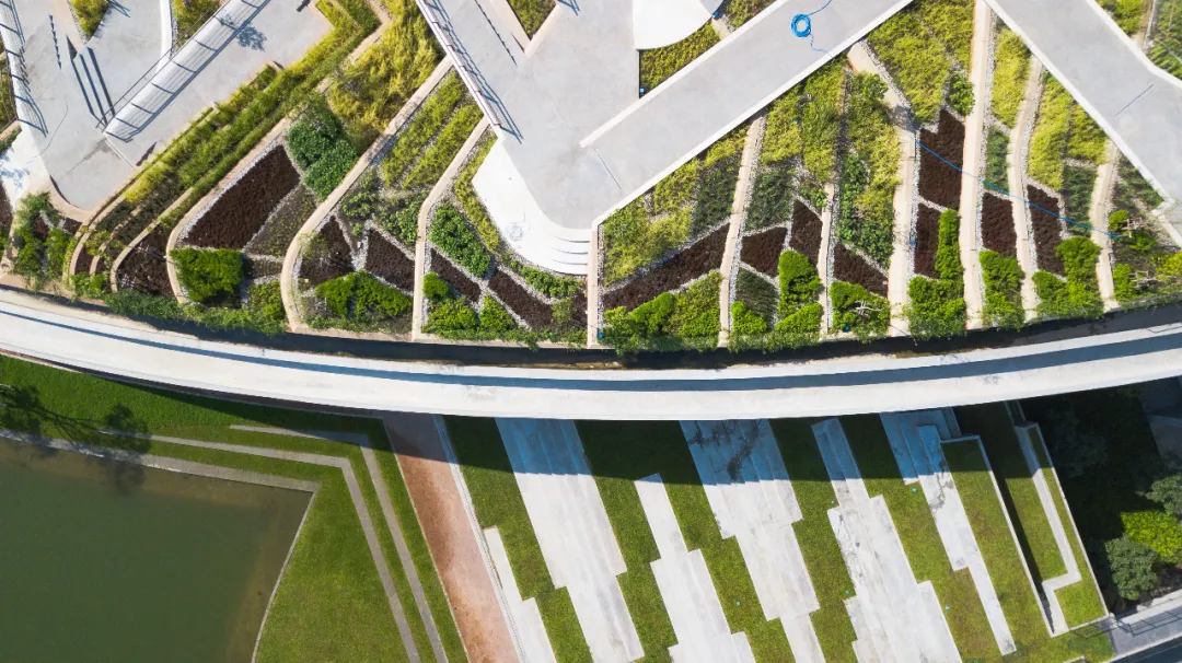 泰国国立法政大学城市屋顶农场——校园里的循环经济