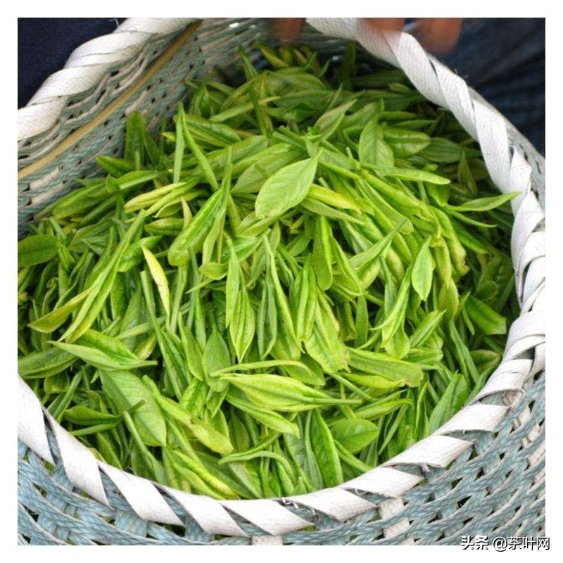 老茶商讲述：茶叶销售最厉害的技巧，是怎样把控客户的心理需求