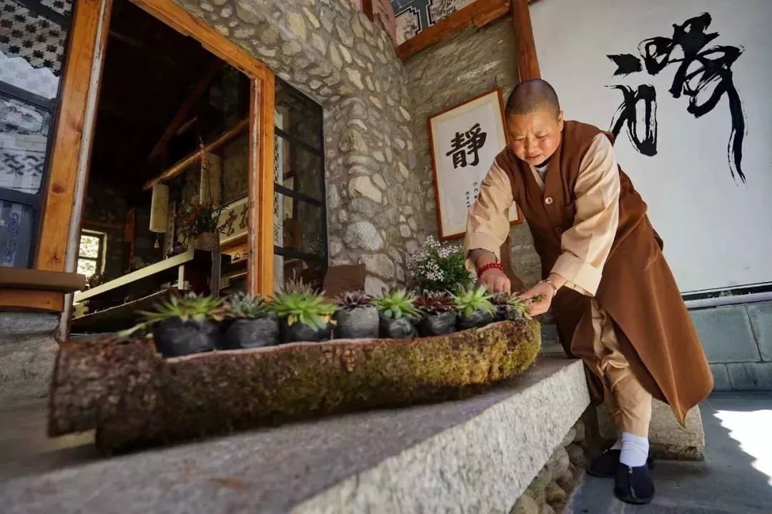 中国最文艺尼姑庵，不烧香只种花，美得想出家！韩红也慕名来参访