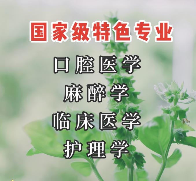 遵义医科大学的王牌专业都有哪些呢