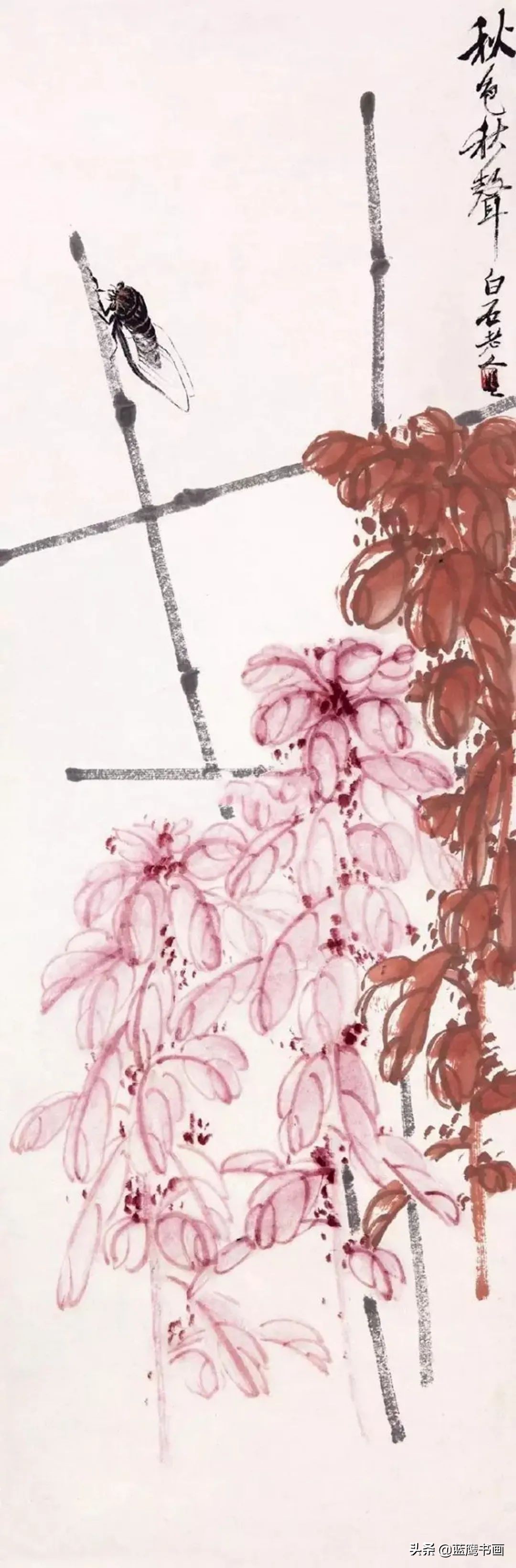 齐白石善于用墨，更善于用色，从而创造了独树一帜的新画风