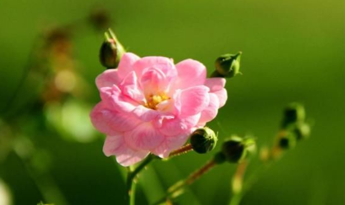 如果你爱上了一个有家庭的男人，要学会如此做