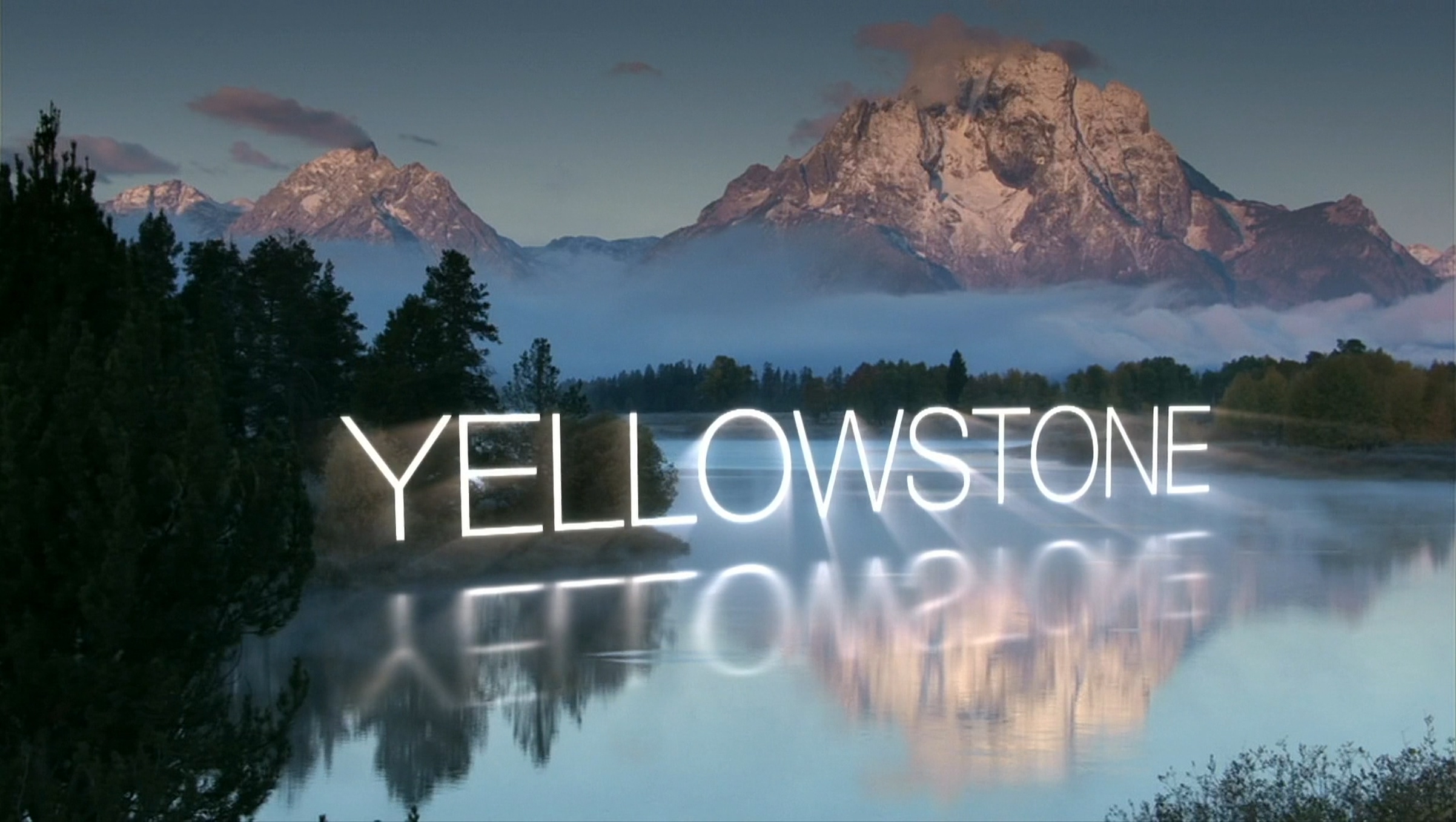 地球上至今还活着的最大生物是什么？无法遏制，它仍在不断狂长